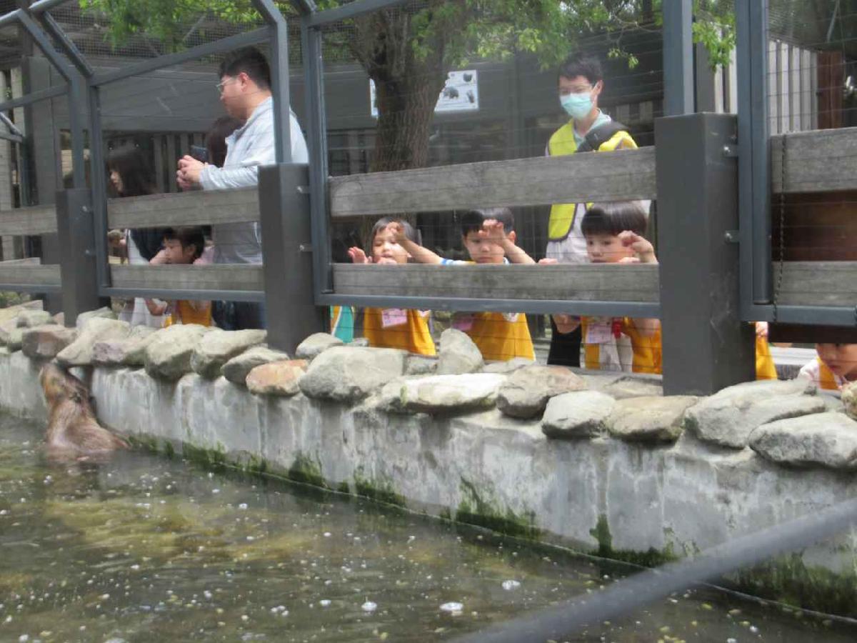 鳳蝶 (1)