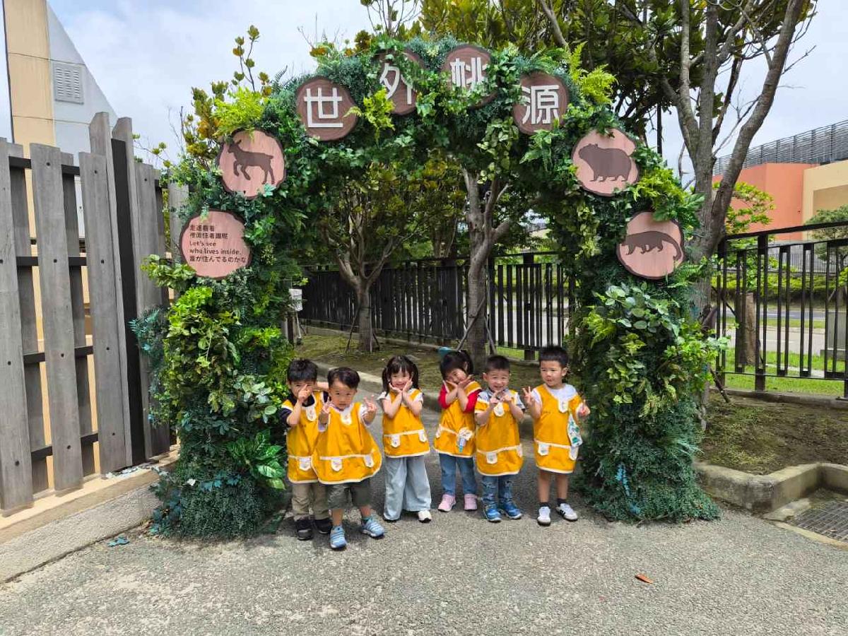 大林綿羊 (1)