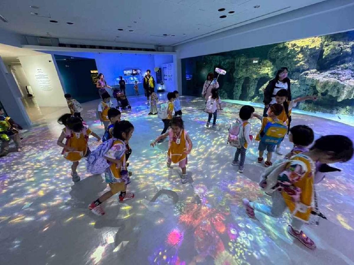 大林蘋果 (5)