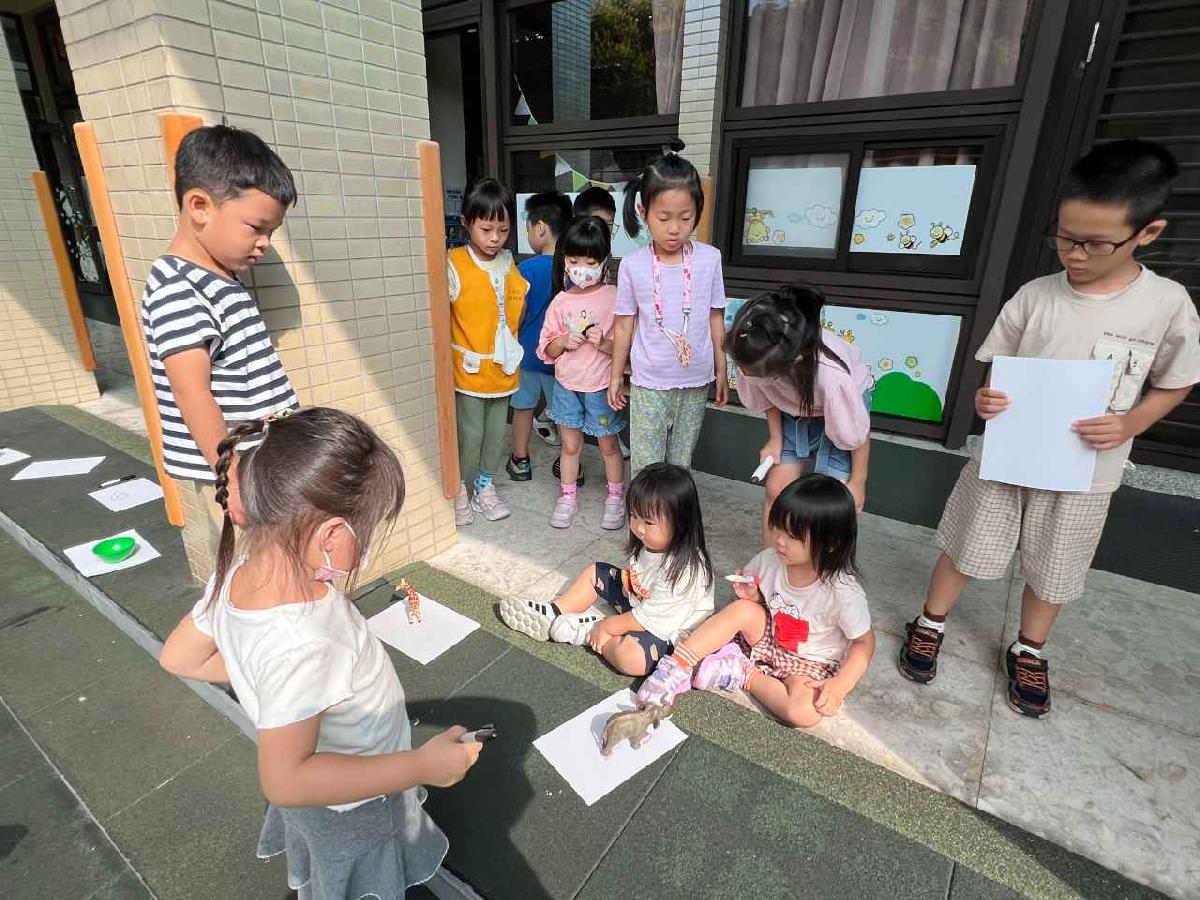 觀察影子的樣子